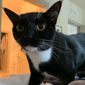 Meet your Posher, Emily